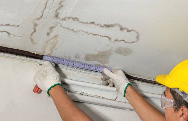 Reliable Mold Remediation contractor in Davis, NC by Water Damage Irwin